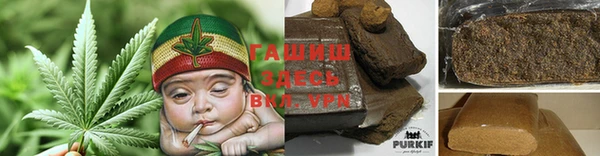 сатива Гусев
