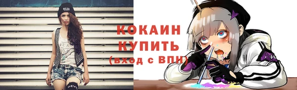 сатива Гусев