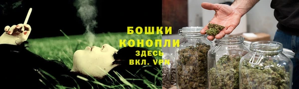 сатива Гусев