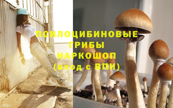 СК Горно-Алтайск