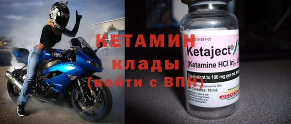 индика Новодвинск