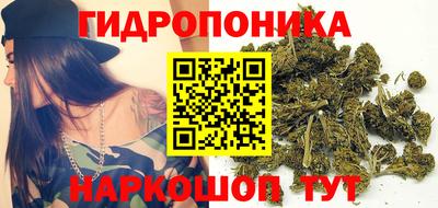 тгк Камышлов