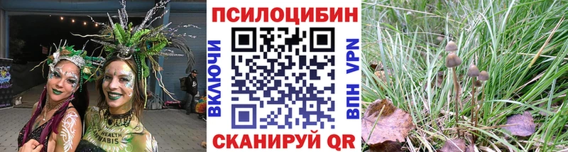 Галлюциногенные грибы прущие грибы  Обь 