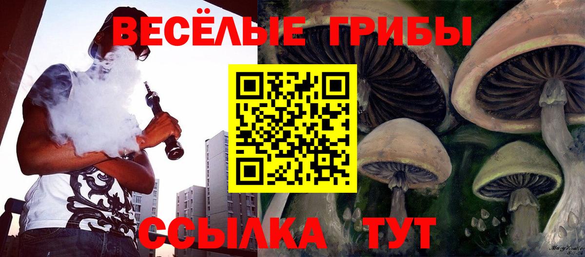Обь  Псилоцибиновые грибы Cubensis  Вход с VPN  Галлюциногенные грибы Psilocybe 